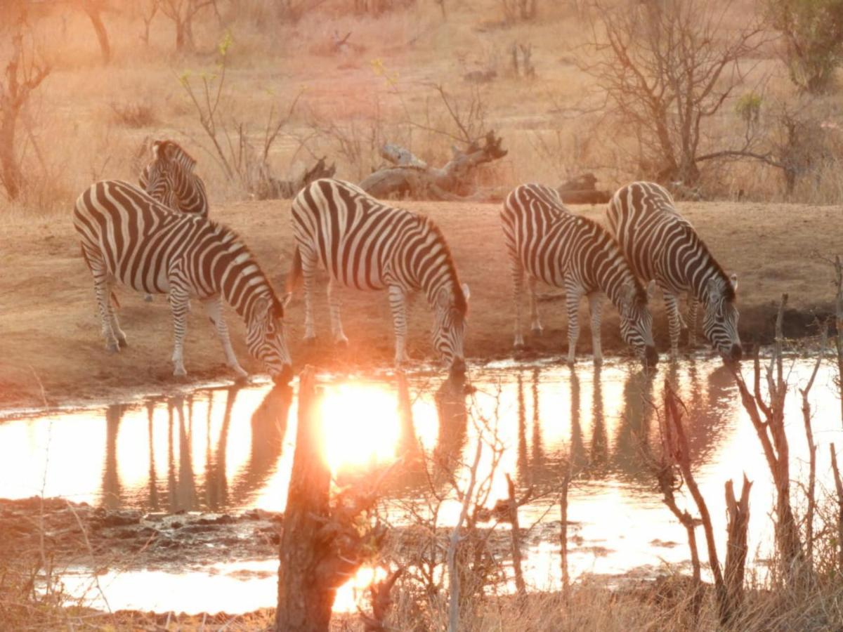 Bongan Safari Lodge Mbabat Exteriör bild